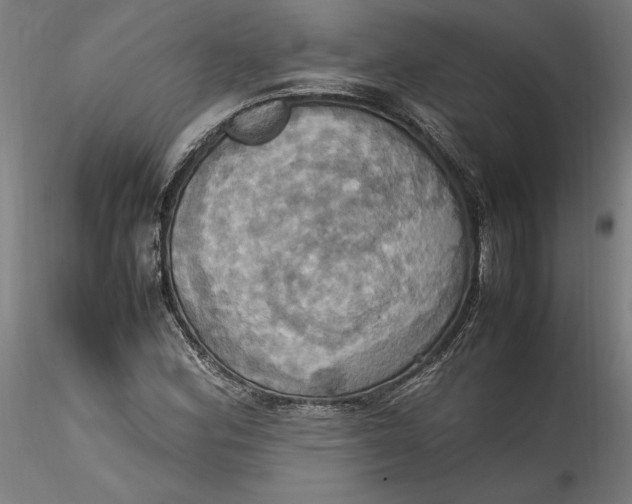 X0000115561164200911271450