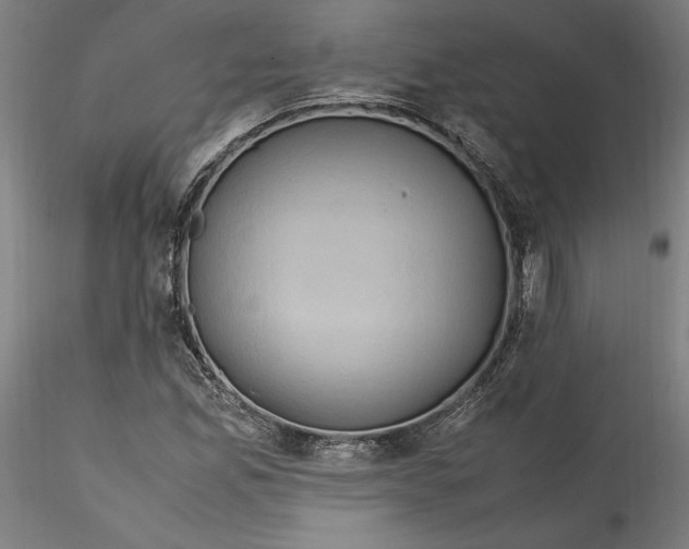 X0000115561165200911271450