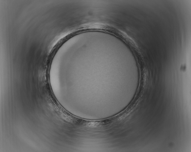 X0000115561166200911271450