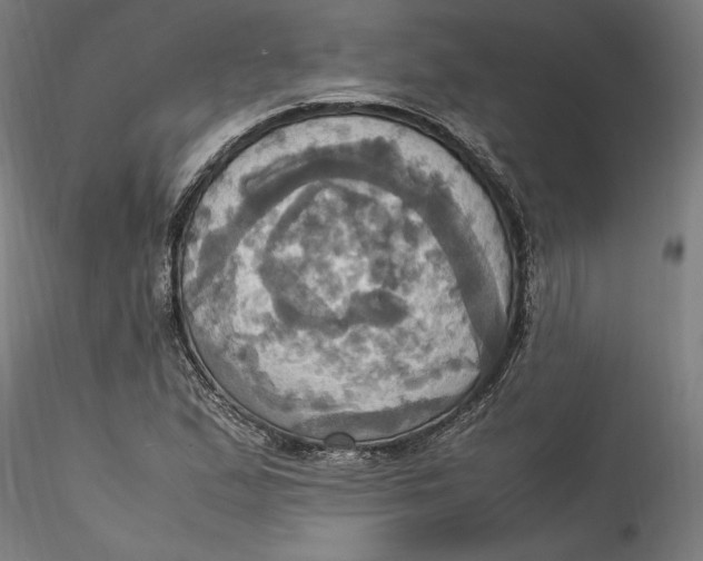 X0000115561167200911271450