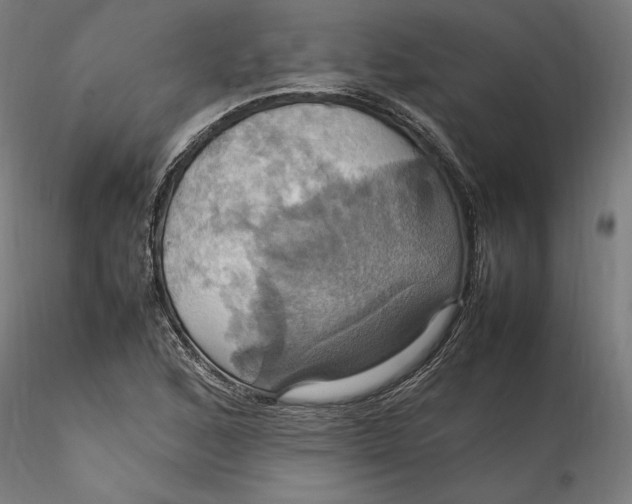 X0000115561168200911271450