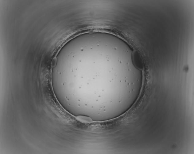 X0000115561169200911271450