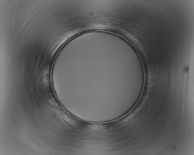 X0000115561170200911271450