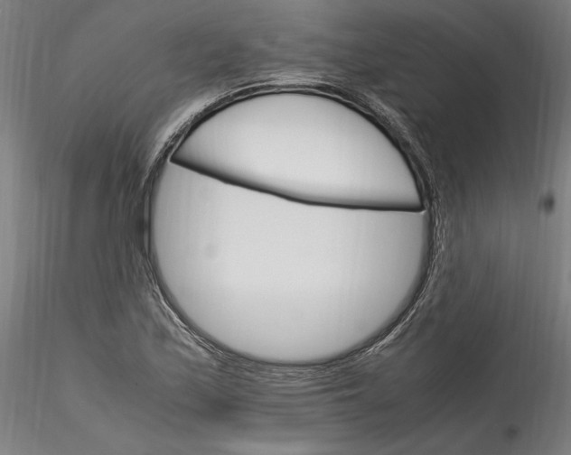 X0000115561171200911271450