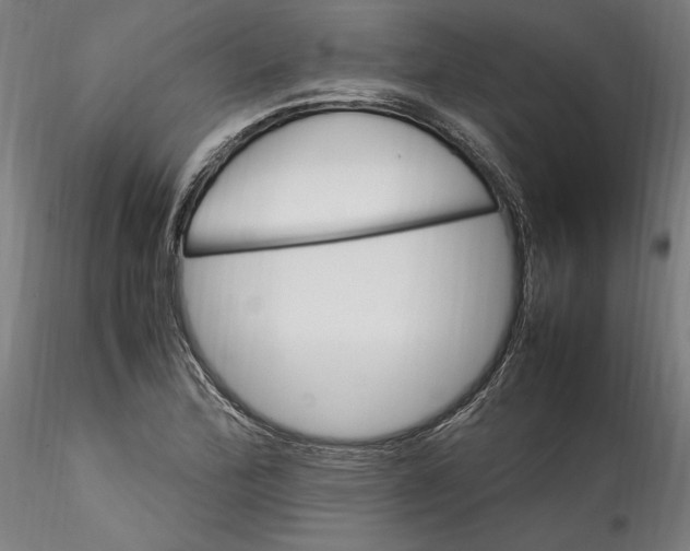 X0000115561172200911271450