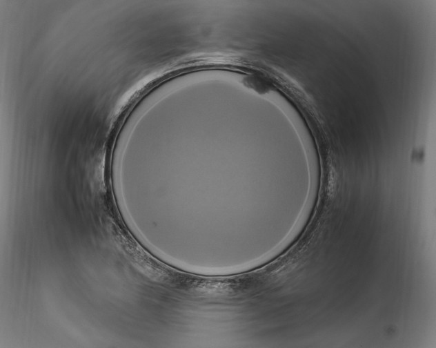 X0000115561174200911271450