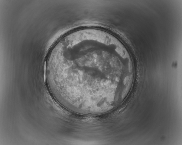 X0000115561175200911271450