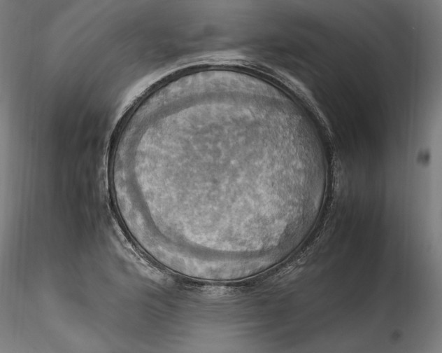 X0000115561176200911271450