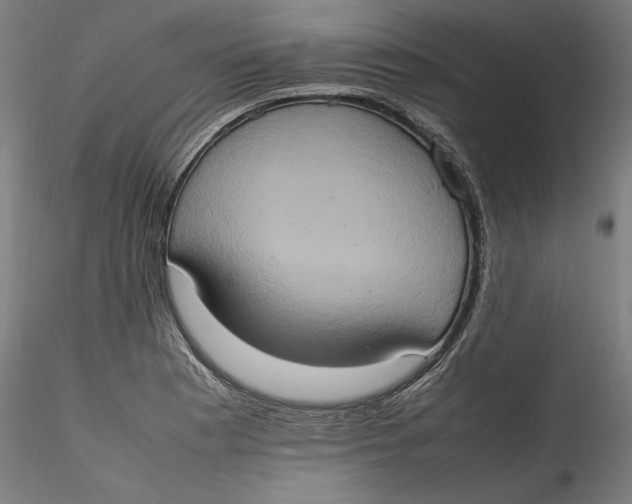 X0000115561177200911271450