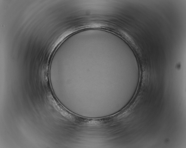 X0000115561178200911271450