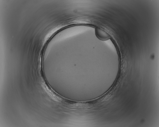 X0000115561179200911271450