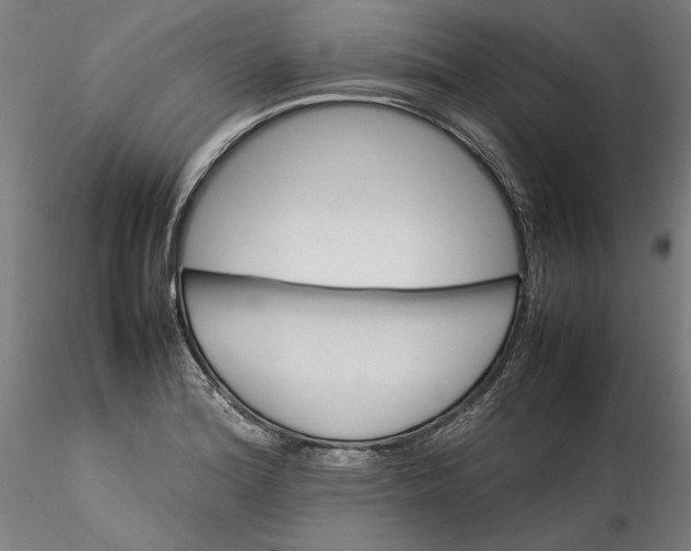 X0000115561180200911271450