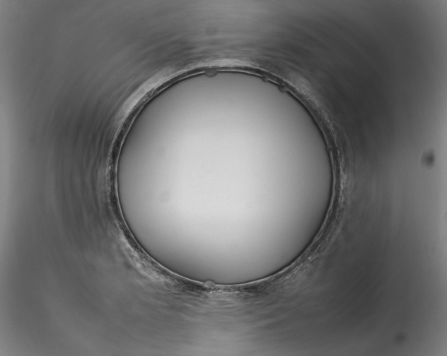 X0000115561181200911271450