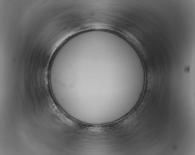 X0000115561182200911271450