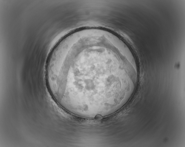 X0000115561183200911271450