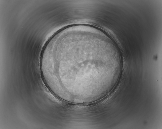 X0000115561184200911271450