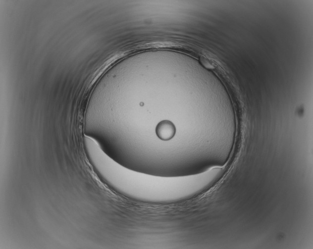 X0000115561185200911271450