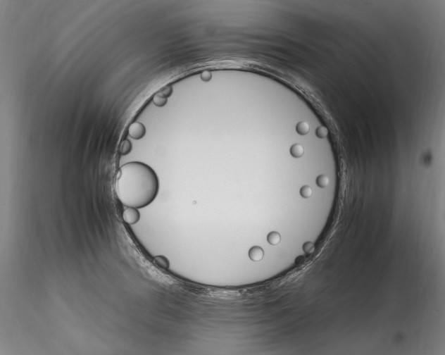 X0000115561186200911271450