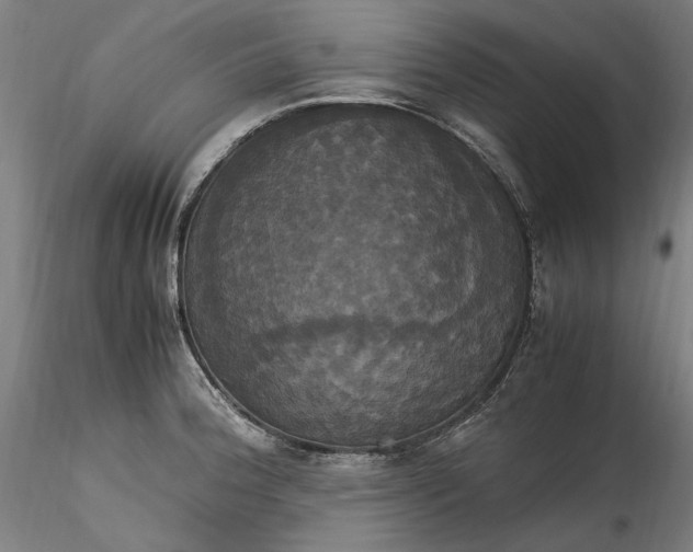 X0000115561188200911271450