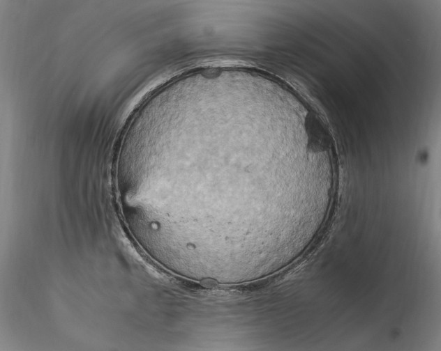 X0000115561189200911271450