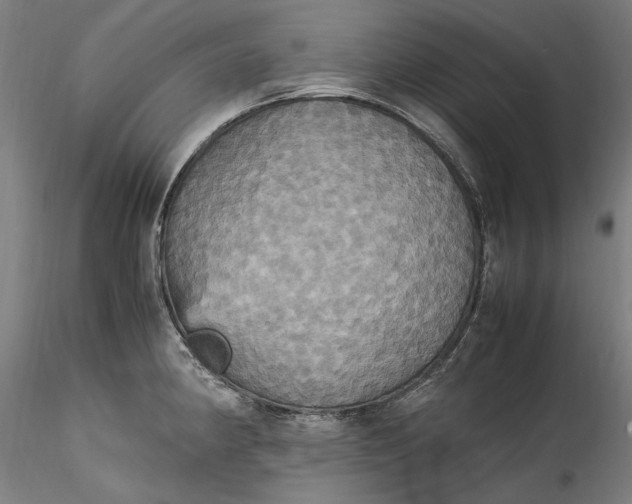 X0000115561190200911271449