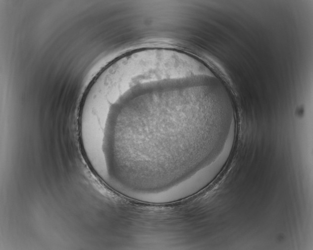 X0000115561192200911271449