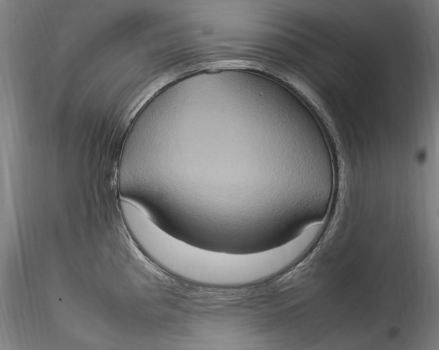 X0000115561193200911271449