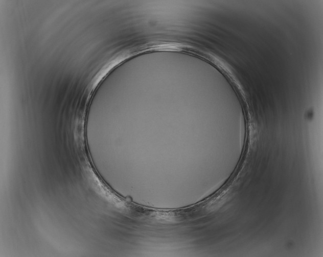 X0000115561194200911271449