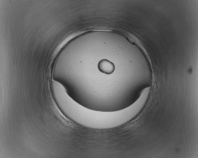 X0000115561195200911271449