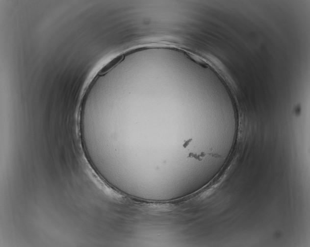 X0000115561196200911271449