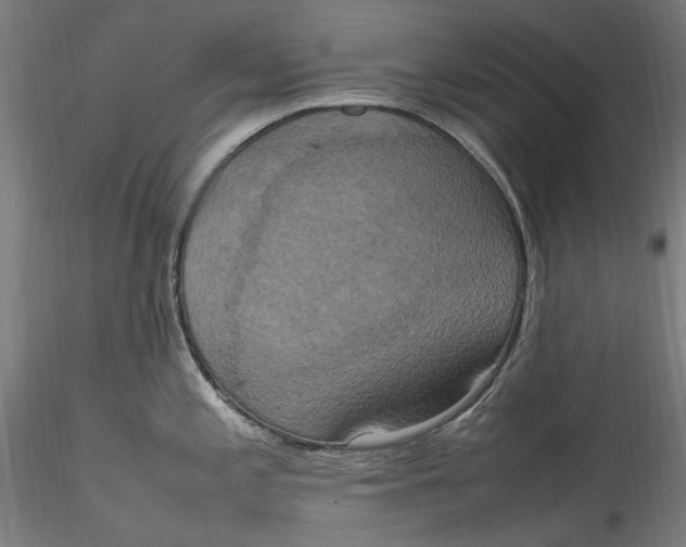 X0000115561197200911271449