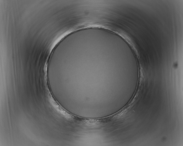 X0000115561198200911271449