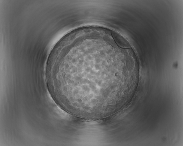 X0000115561199200911271449