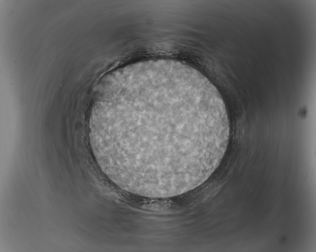 X0000115561201200911271449