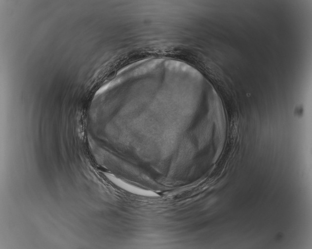 X0000115561202200911271449