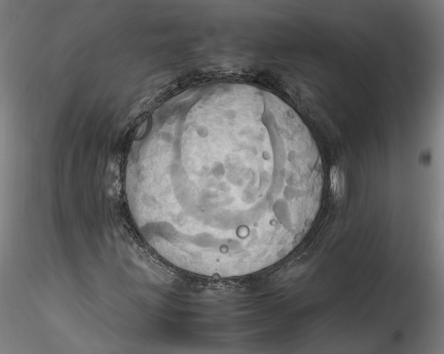 X0000115561203200911271449