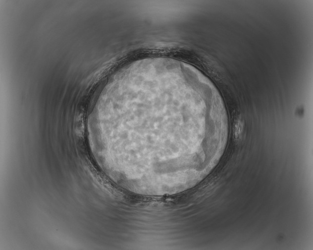 X0000115561204200911271449