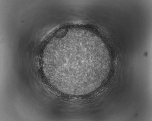 X0000115561205200911271449