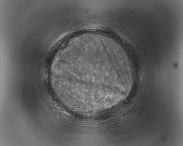 X0000115561206200911271449