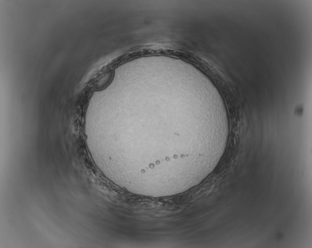 X0000115561207200911271449