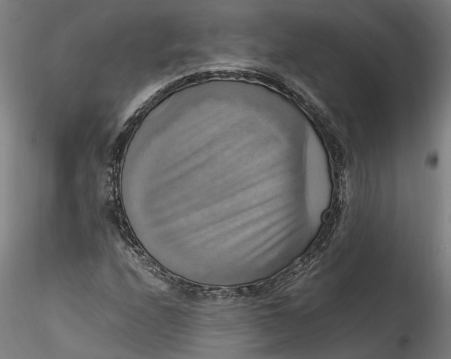 X0000115561208200911271449