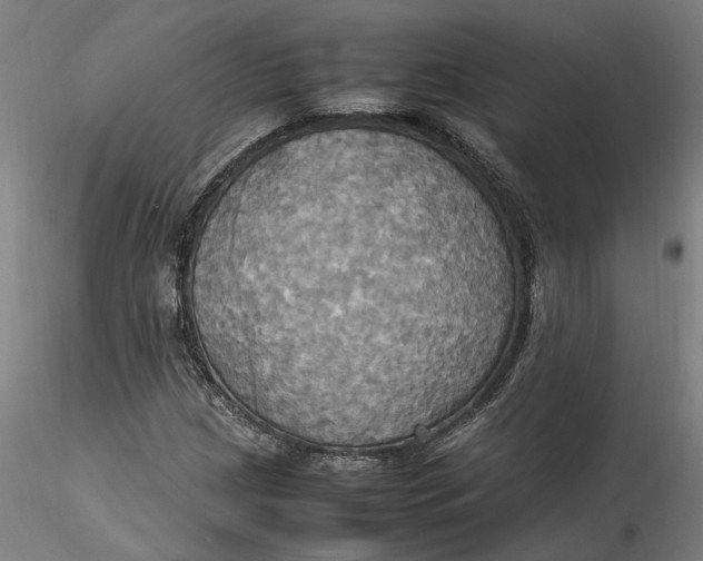 X0000115561209200911271449