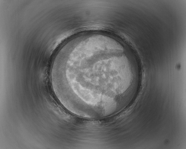 X0000115561210200911271449