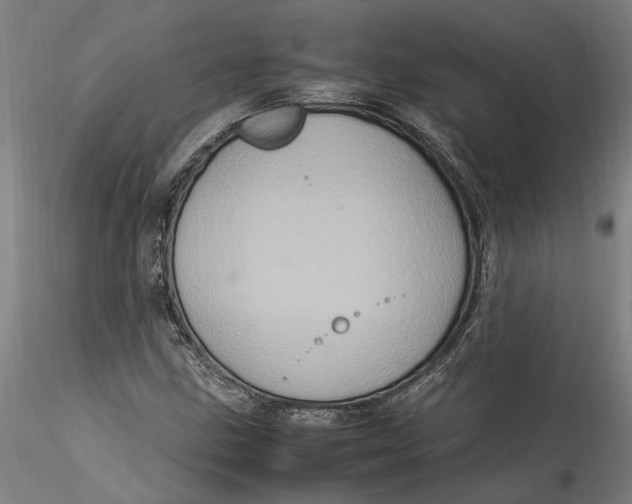 X0000115561211200911271449