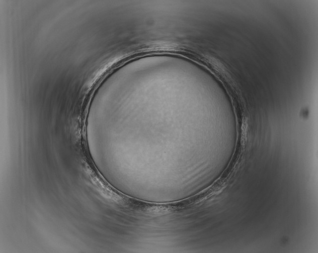 X0000115561212200911271449