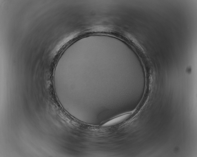 X0000115561213200911271449