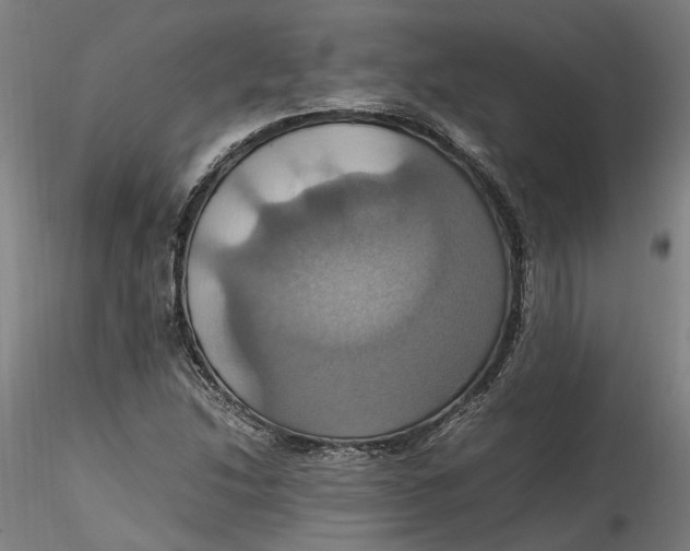 X0000115561214200911271449