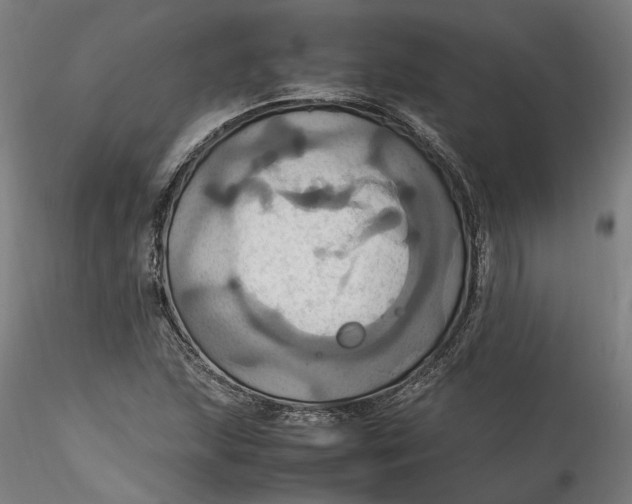 X0000115561215200911271449