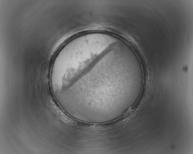 X0000115561216200911271449