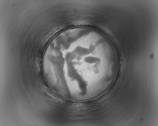 X0000115561217200911271449